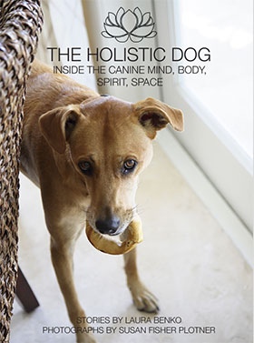 the holistic dog a book by Laura Benko